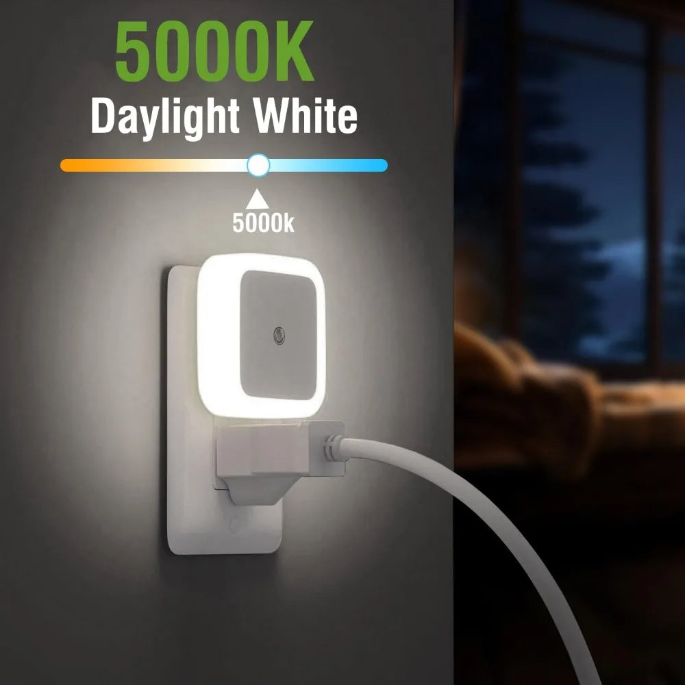 LED Night Lights