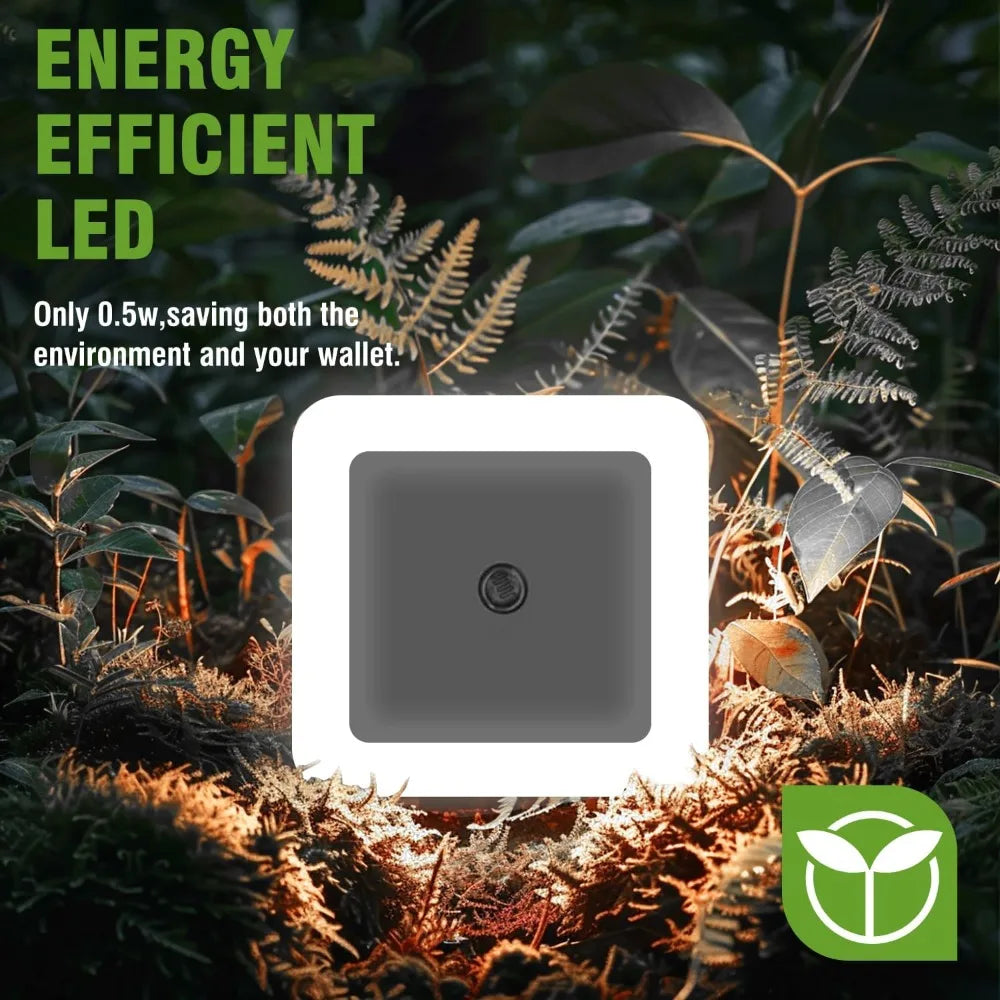 LED Night Lights