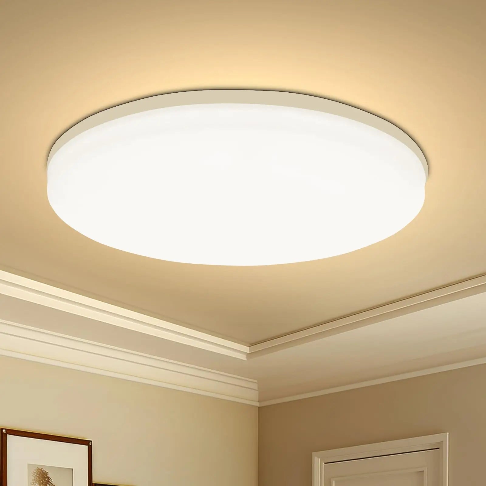 Round LED Ceiling Light